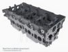 BLUE PRINT ADN17709 Cylinder Head